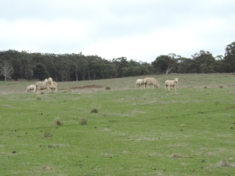 Loadstone Hill Mt Rae Road, Taralga NSW 2580