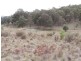 Loadstone Hill Mt Rae Road, Taralga NSW 2580