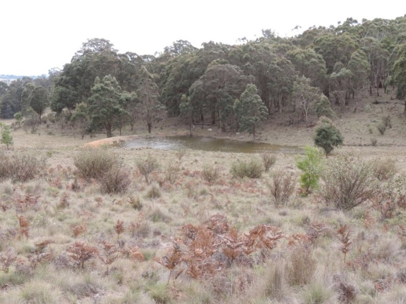 Loadstone Hill Mt Rae Road, Taralga NSW 2580