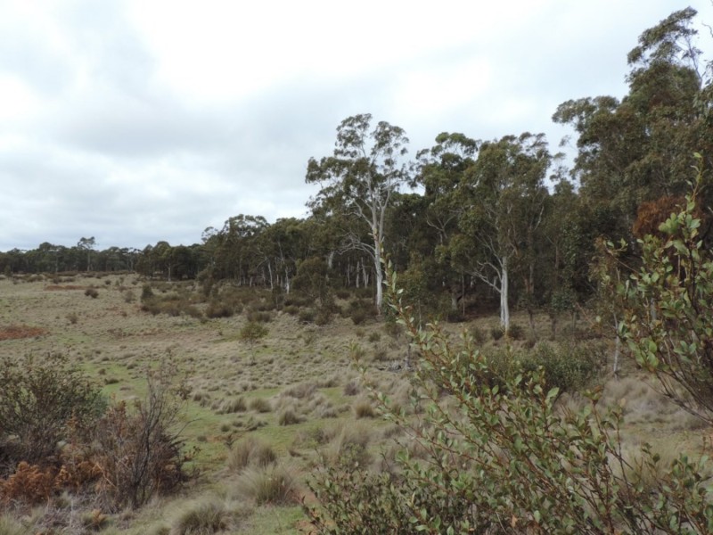 Loadstone Hill Mt Rae Road, Taralga NSW 2580