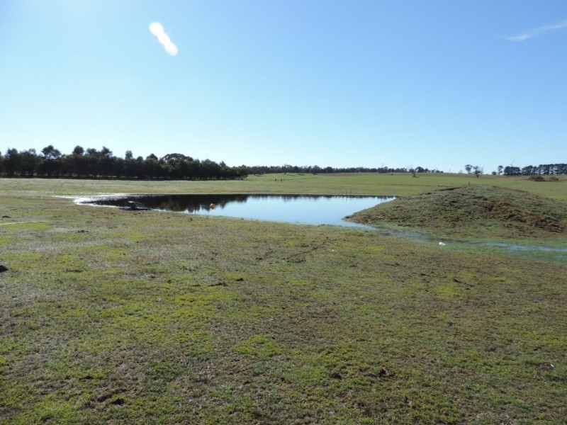 1017 Bannister Lane, Gurrundah NSW 2581