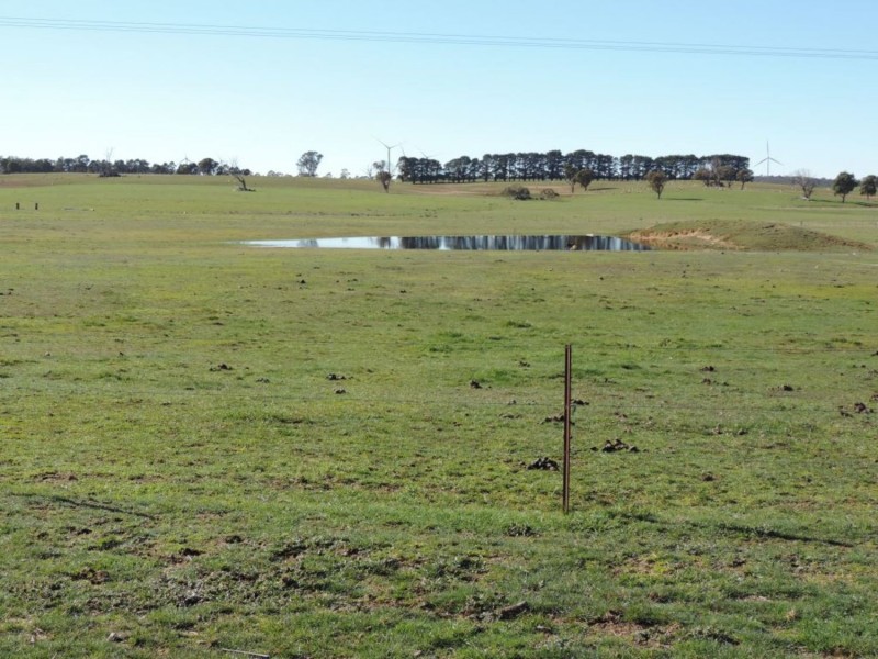 1017 Bannister Lane, Gurrundah NSW 2581