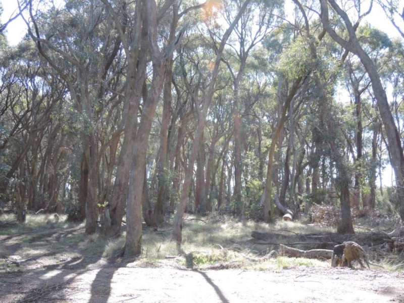 1017 Bannister Lane, Gurrundah NSW 2581