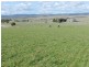 Brisbane Grove NSW 2580
