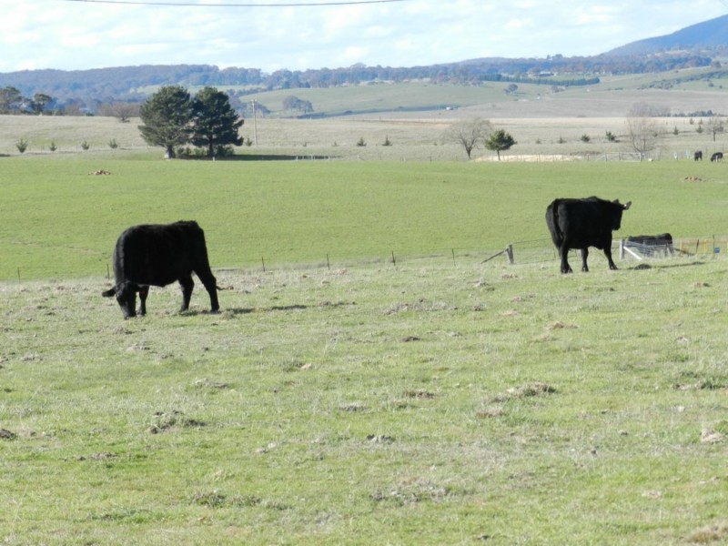 Brisbane Grove NSW 2580