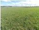 Brisbane Grove NSW 2580