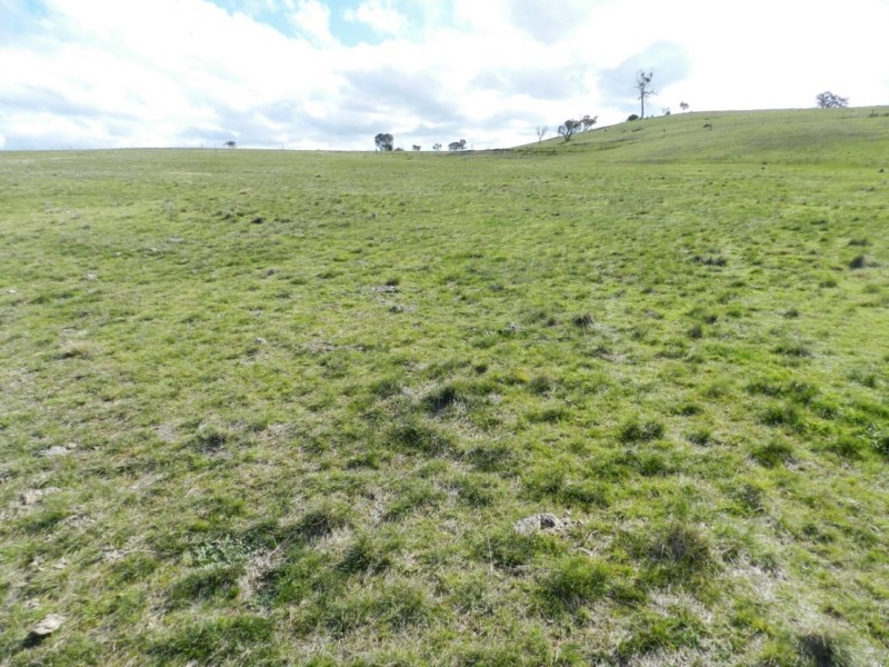 Brisbane Grove NSW 2580