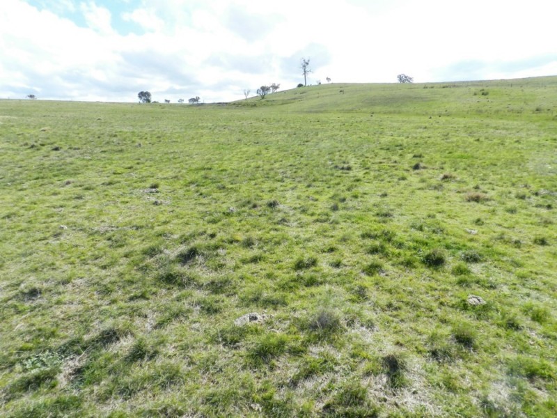 Brisbane Grove NSW 2580