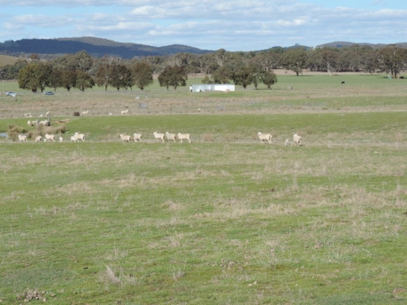 197 Kangaloolah Road, Binda NSW 2583