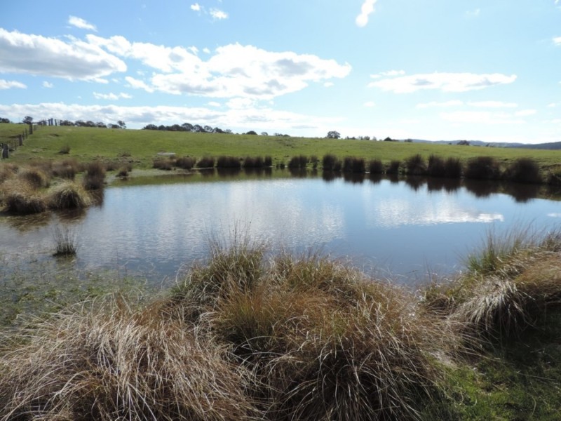 197 Kangaloolah Road, Binda NSW 2583