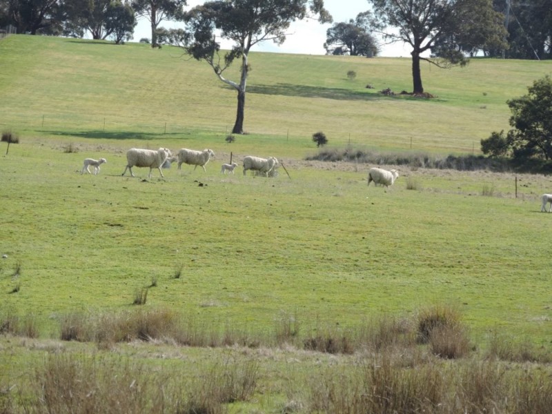 197 Kangaloolah Road, Binda NSW 2583