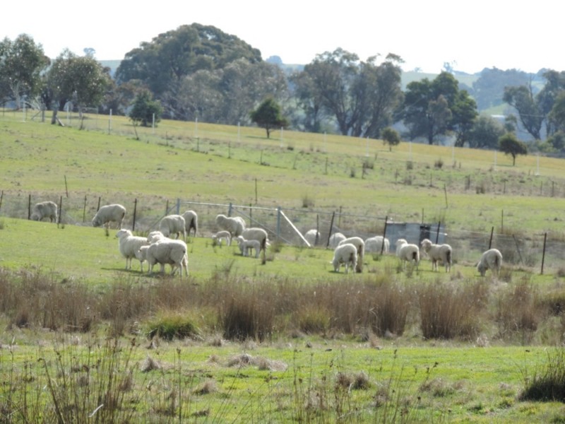 197 Kangaloolah Road, Binda NSW 2583