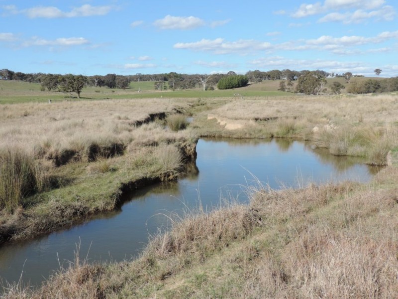 197 Kangaloolah Road, Binda NSW 2583