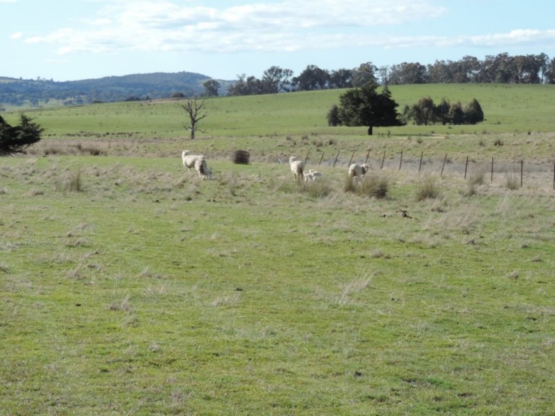 197 Kangaloolah Road, Binda NSW 2583