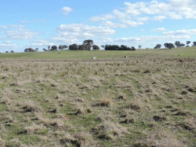 197 Kangaloolah Road, Binda NSW 2583