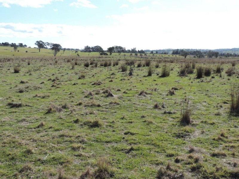 197 Kangaloolah Road, Binda NSW 2583