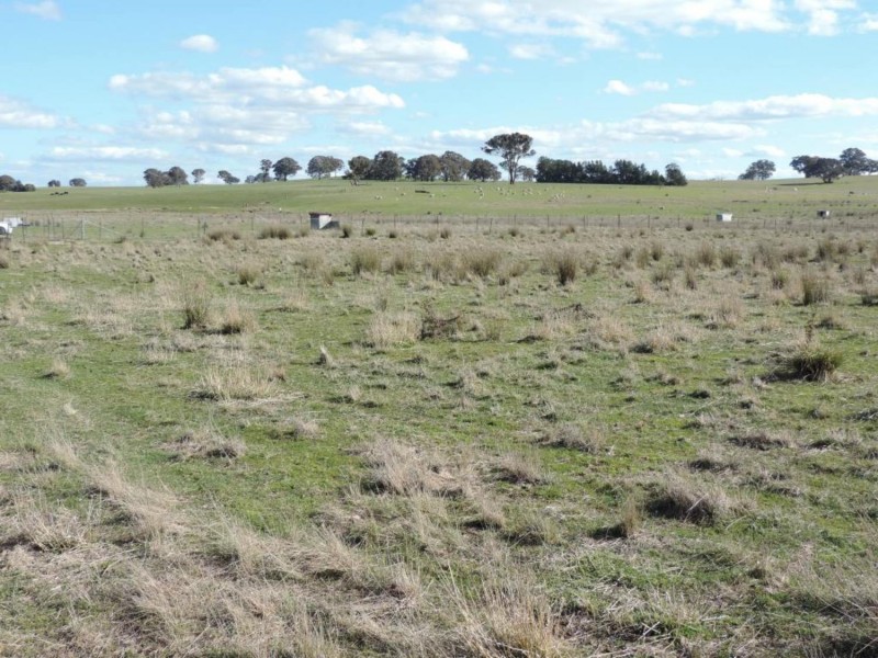 197 Kangaloolah Road, Binda NSW 2583