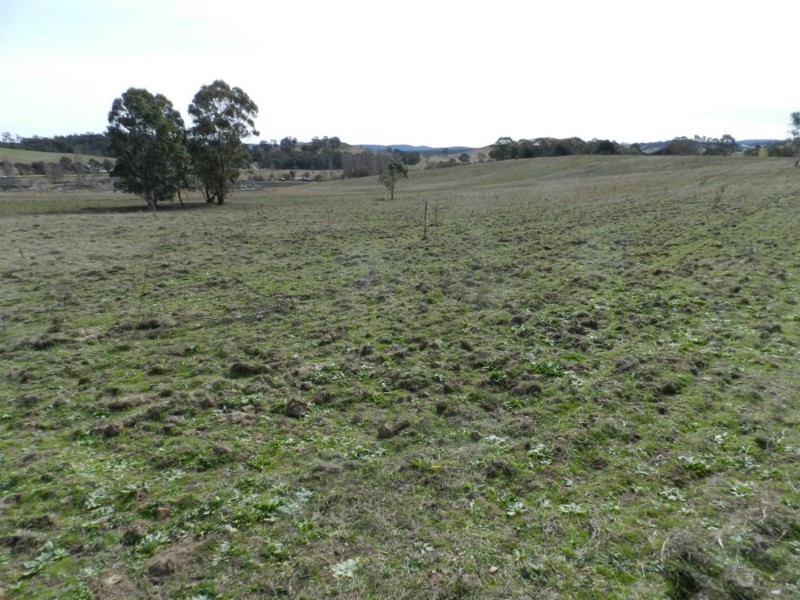 340 Lookdown Road, Bungonia NSW 2580