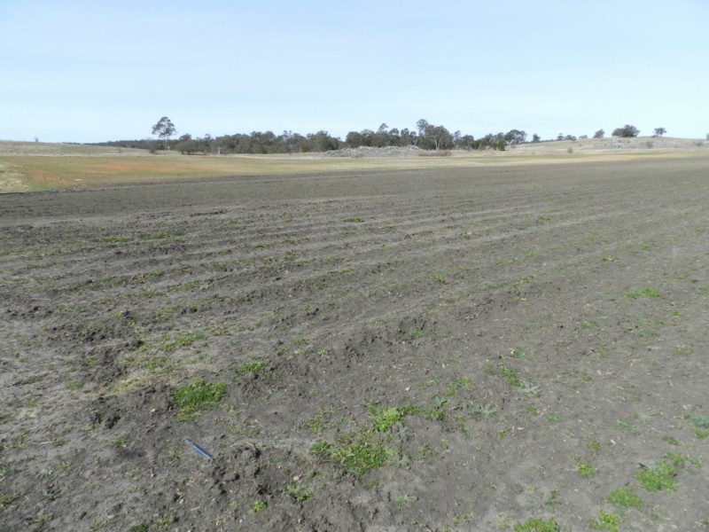 340 Lookdown Road, Bungonia NSW 2580