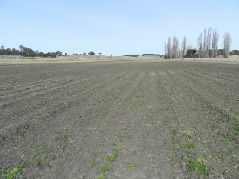 340 Lookdown Road, Bungonia NSW 2580