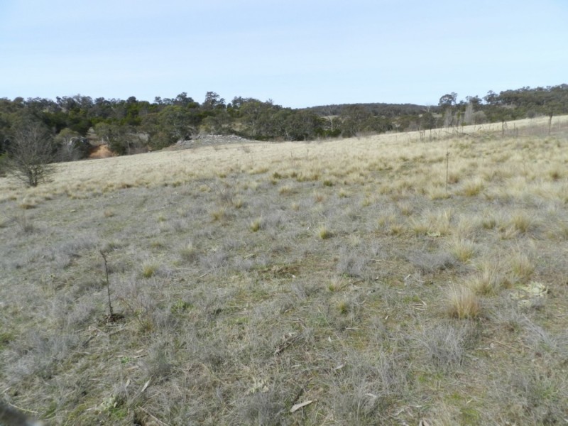 340 Lookdown Road, Bungonia NSW 2580