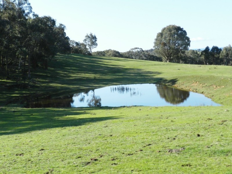 1721 Golspie Road, Golspie NSW 2580