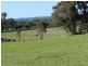 1721 Golspie Road, Golspie NSW 2580