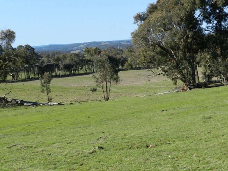 1721 Golspie Road, Golspie NSW 2580
