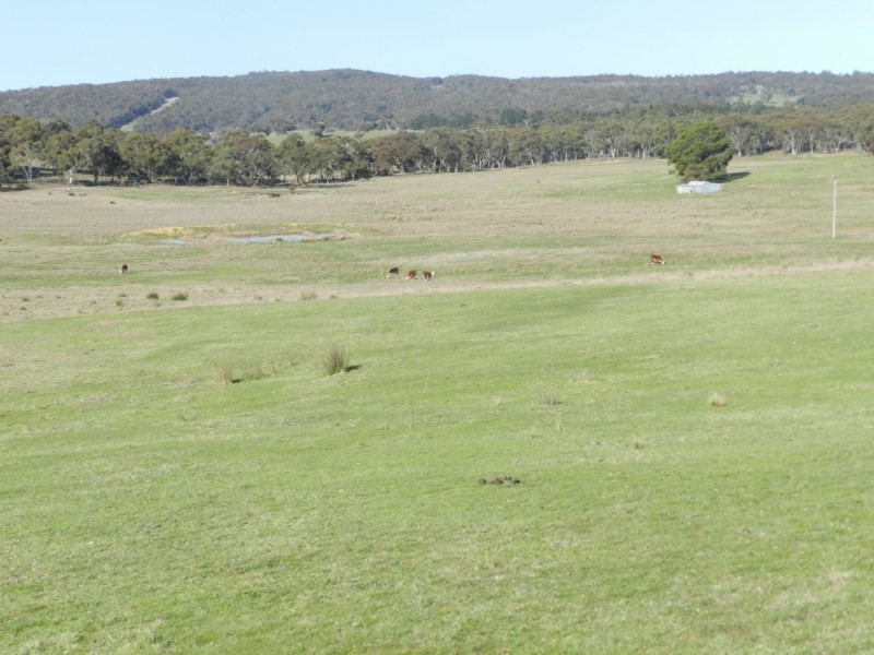1721 Golspie Road, Golspie NSW 2580