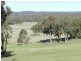 1721 Golspie Road, Golspie NSW 2580