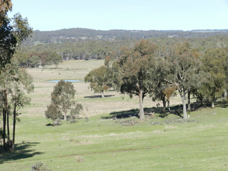 1721 Golspie Road, Golspie NSW 2580