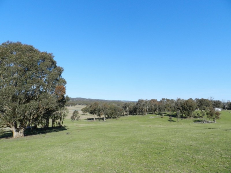 1721 Golspie Road, Golspie NSW 2580