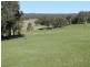 1721 Golspie Road, Golspie NSW 2580