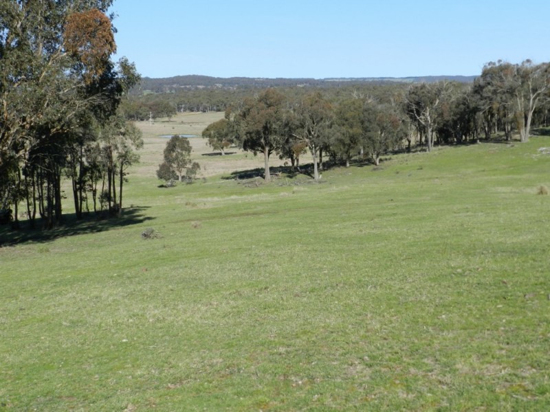 1721 Golspie Road, Golspie NSW 2580