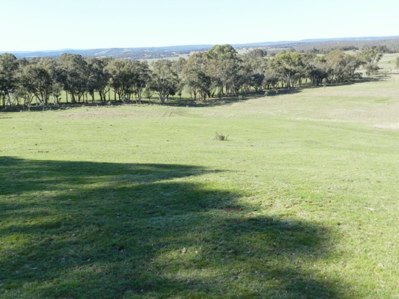 1721 Golspie Road, Golspie NSW 2580