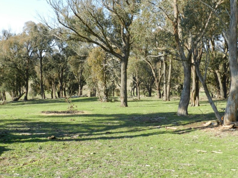1721 Golspie Road, Golspie NSW 2580