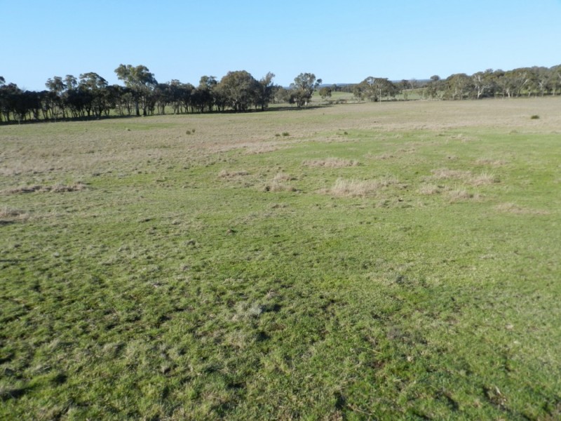 1721 Golspie Road, Golspie NSW 2580