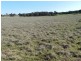 1721 Golspie Road, Golspie NSW 2580