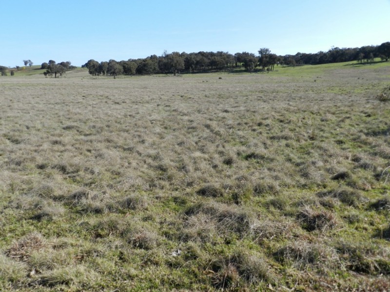 1721 Golspie Road, Golspie NSW 2580