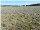 1721 Golspie Road, Golspie NSW 2580