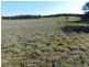1721 Golspie Road, Golspie NSW 2580