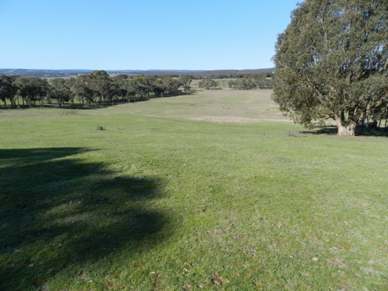 1721 Golspie Road, Golspie NSW 2580