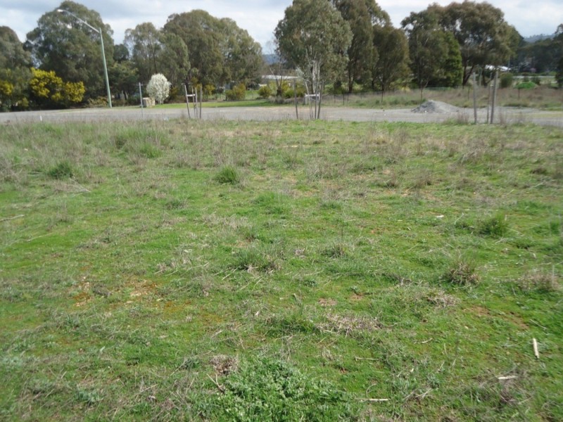 Lot 101 Manor Hills off Surry Street, Collector NSW 2581