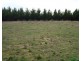 Lot 103 Manor Hills off Surry Street, Collector NSW 2581