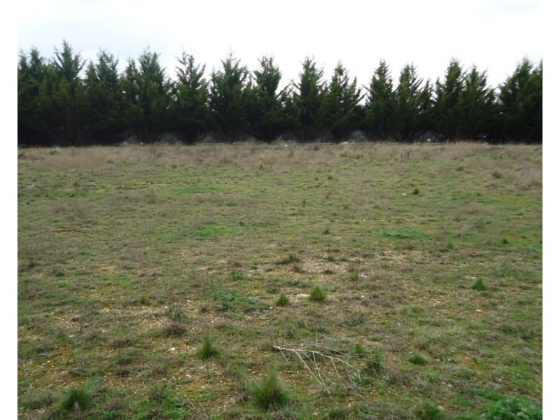 Lot 103 Manor Hills off Surry Street, Collector NSW 2581