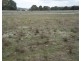 Lot 103 Manor Hills off Surry Street, Collector NSW 2581