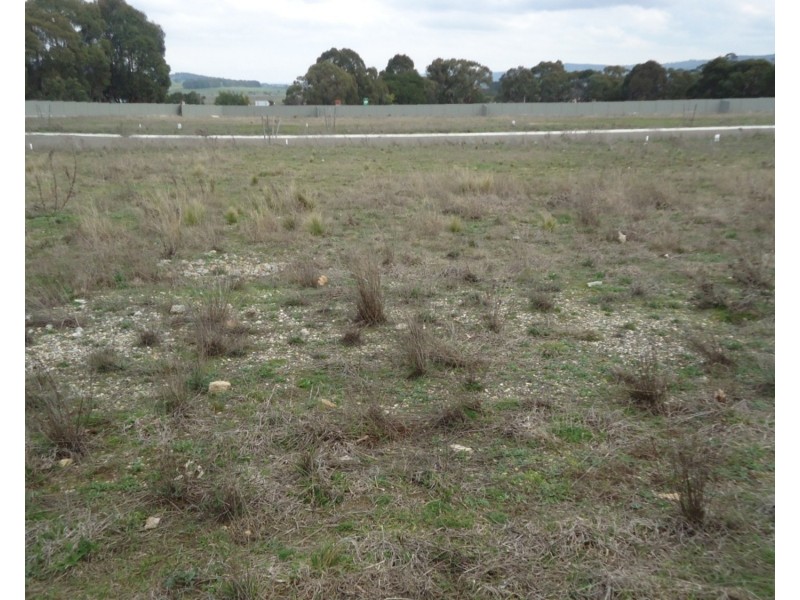 Lot 103 Manor Hills off Surry Street, Collector NSW 2581