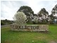 Lot 105 Manor Hills off Surry Street, Collector NSW 2581