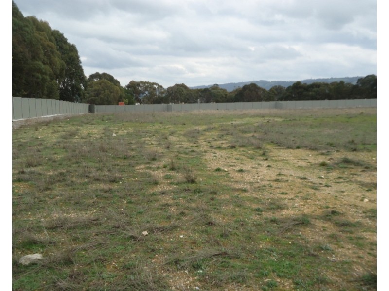 Lot 109 Manor Hills off Surry Street, Collector NSW 2581