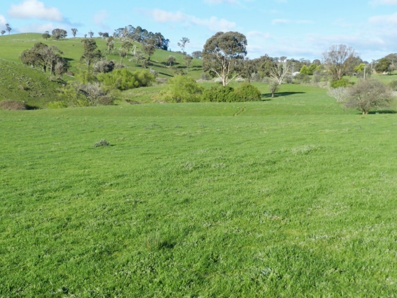 Lot 4 Salisbury Road, Bigga NSW 2583